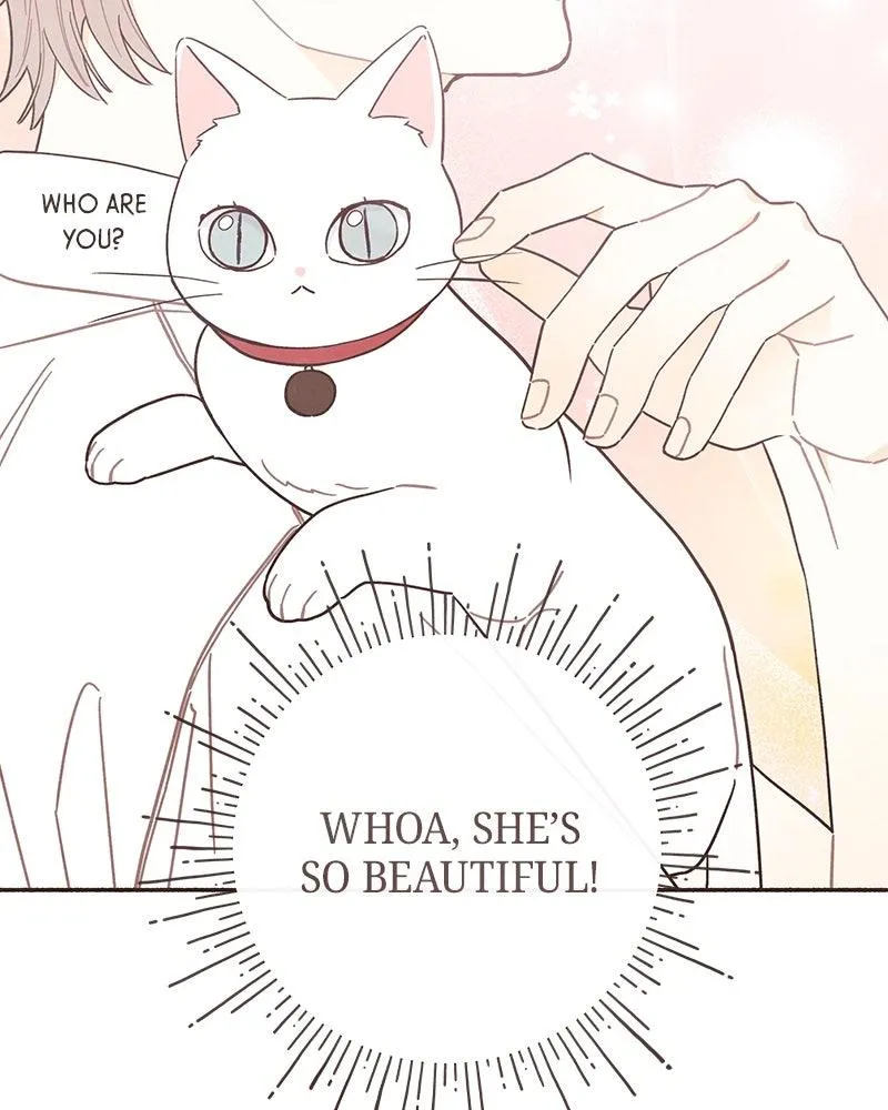 Read Transference Manga Online