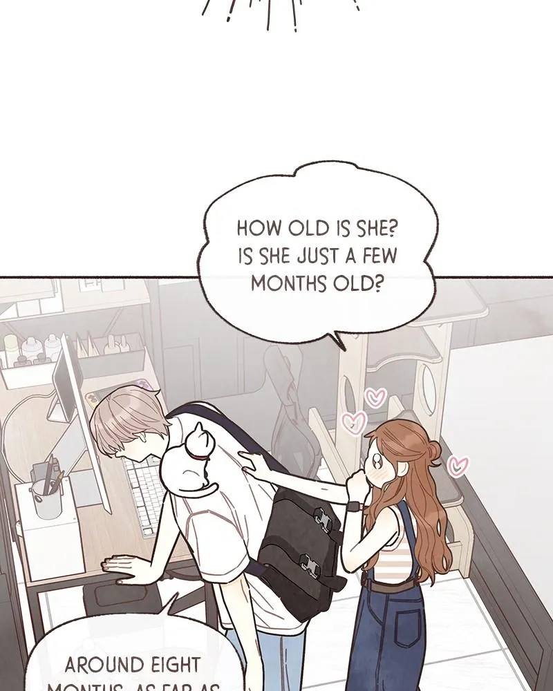 Read Transference Manga Online