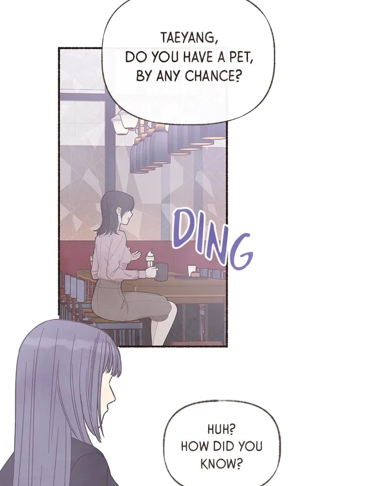 Read Transference Manga Online