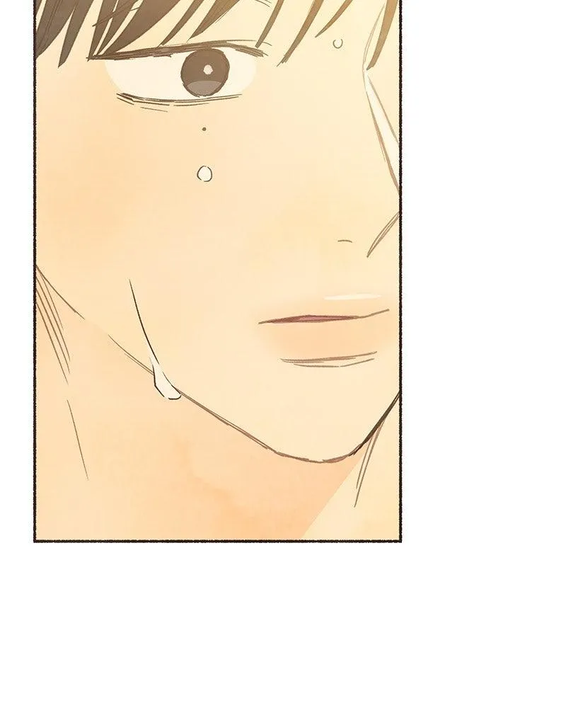 Read Transference Manga Online