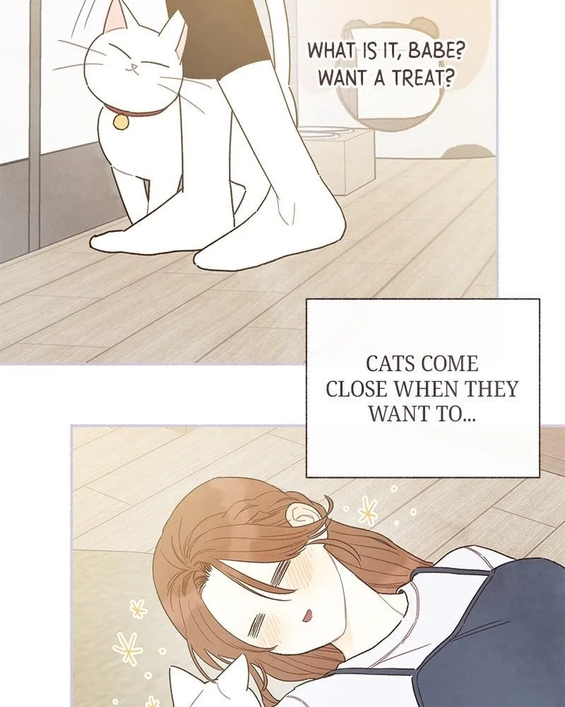 Read Transference Manga Online