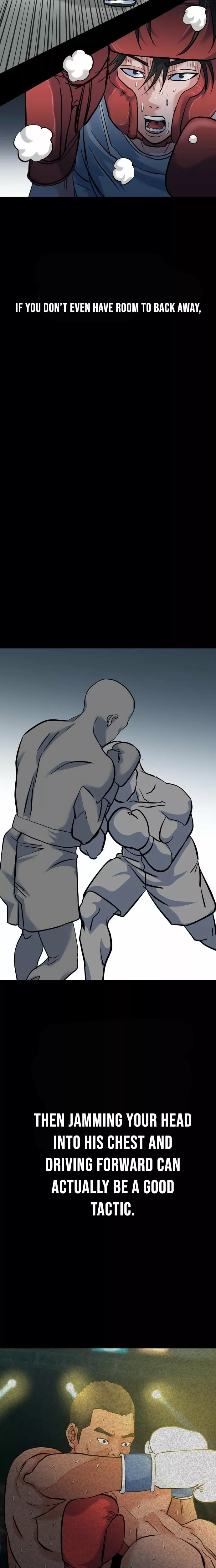 Read Underboxer Manga Online