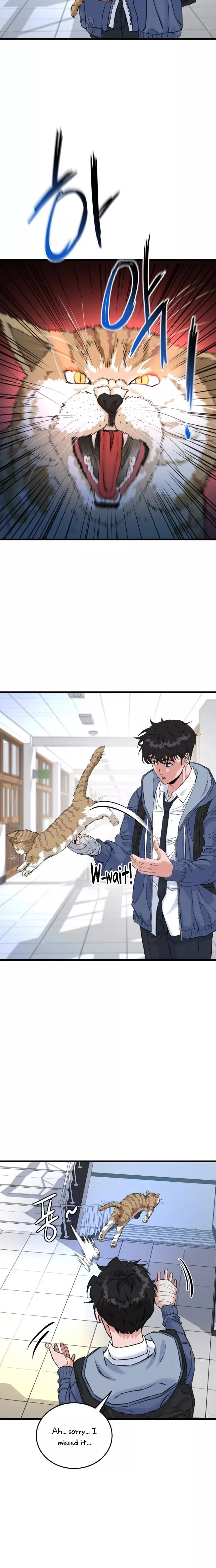 Read Underboxer Manga Online