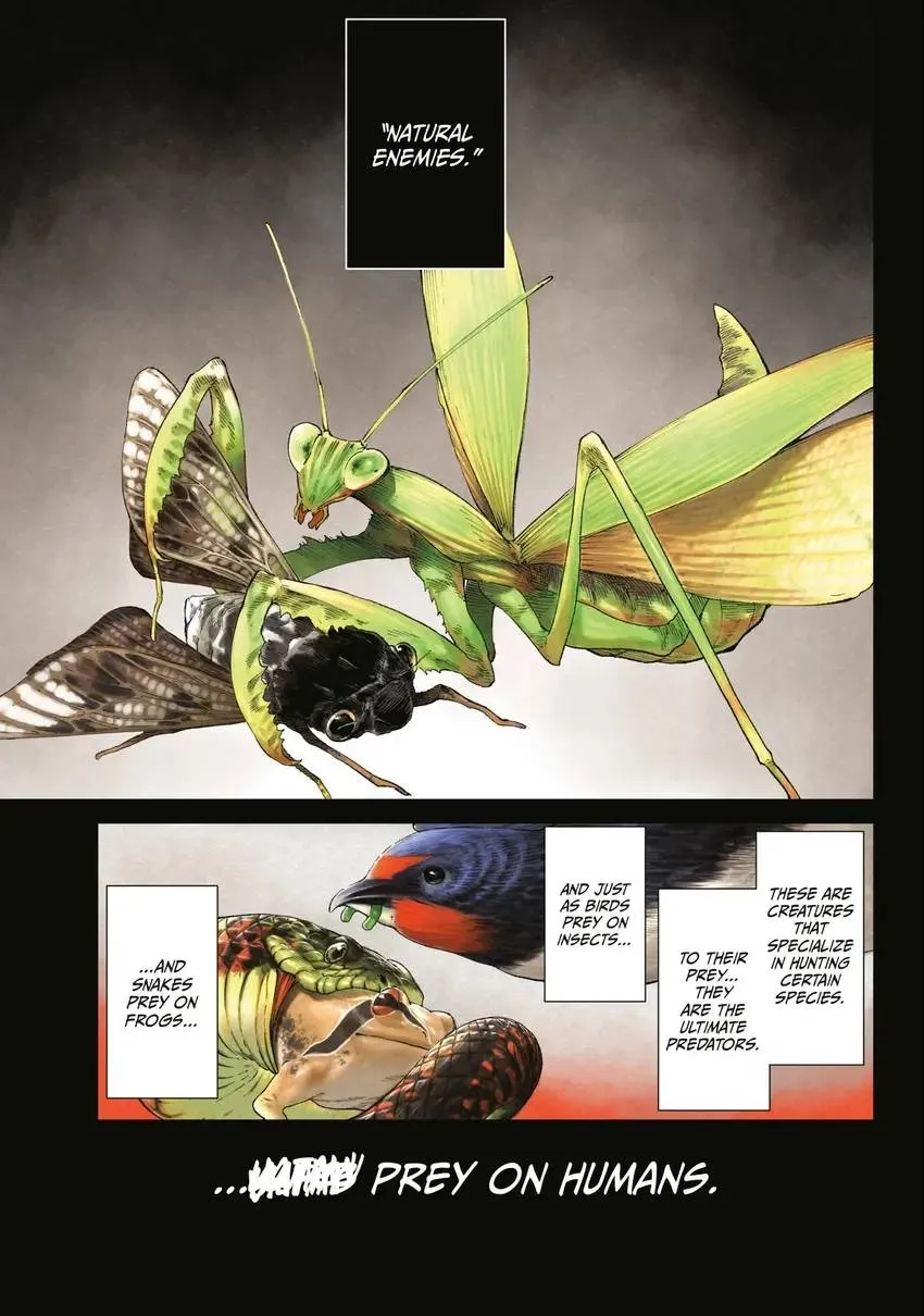 Read Versus Manga Online