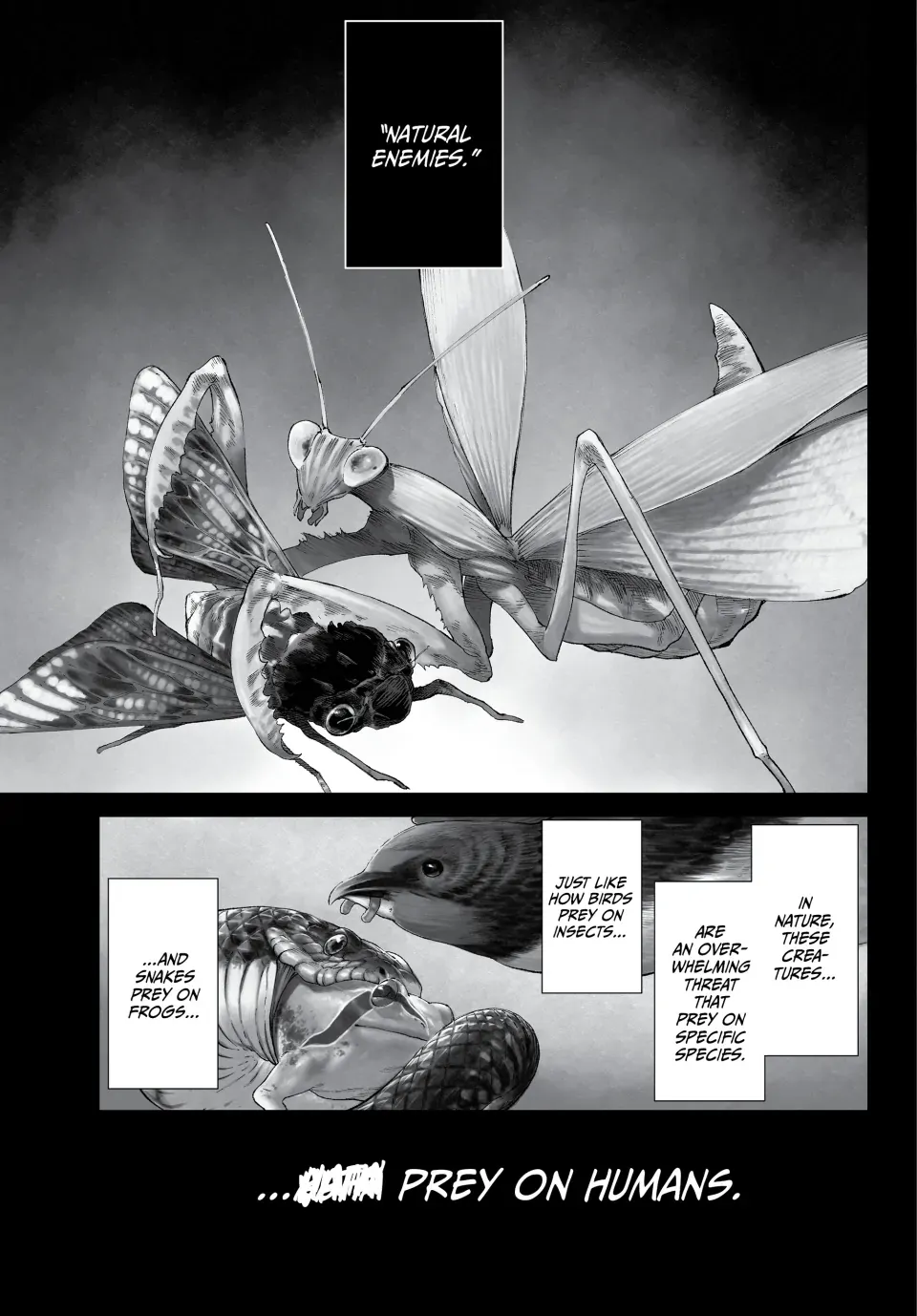 Read Versus Manga Online