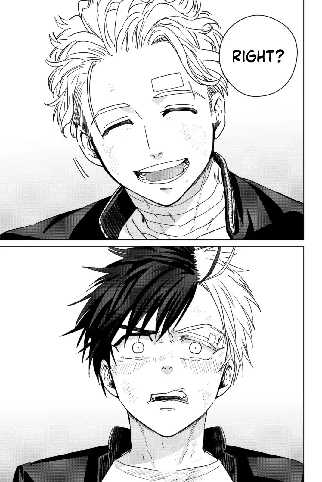 Read Wind Breaker Manga Online