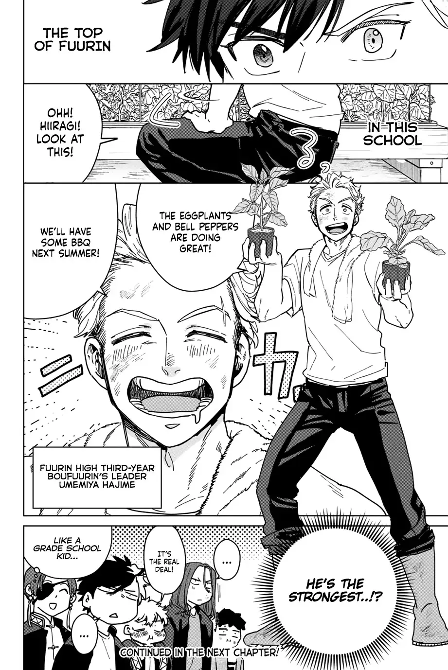 Read Wind Breaker Manga Online