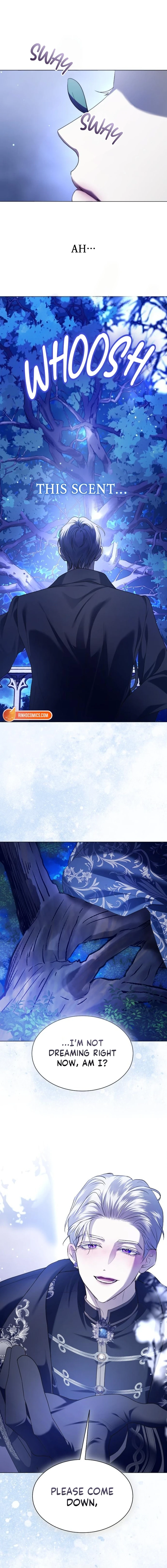 Read Your Throne Manga Online
