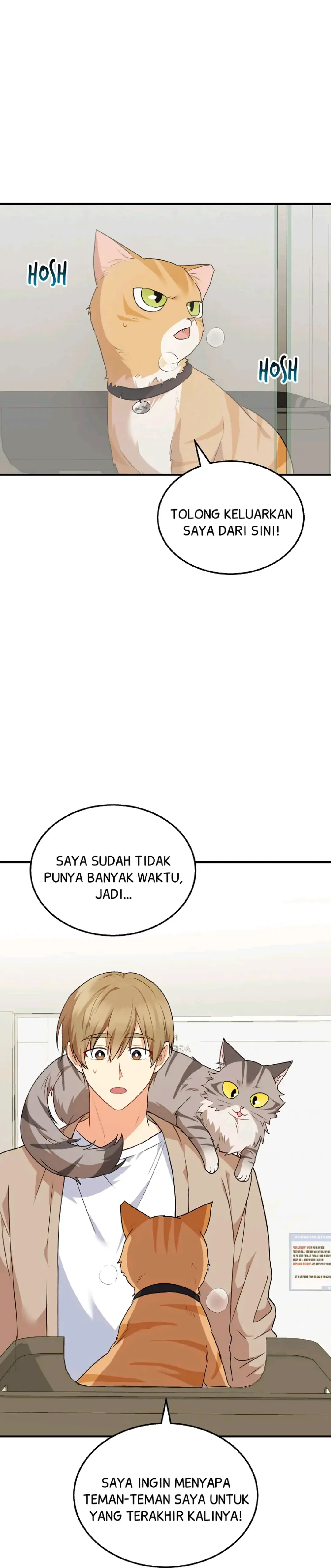 Read Hello Mr. Veterinarian ID Manga Online