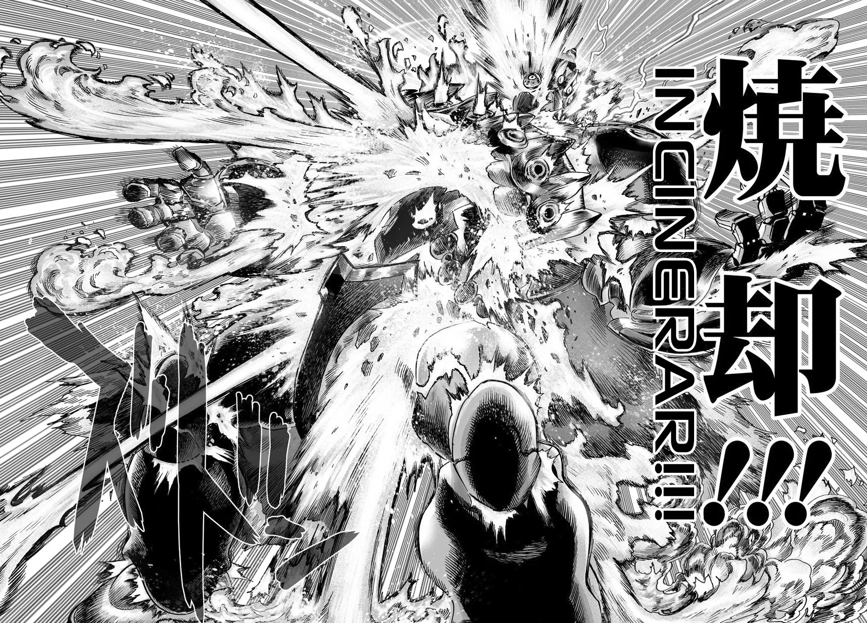 Read One Punch Man PT-BR Manga Online